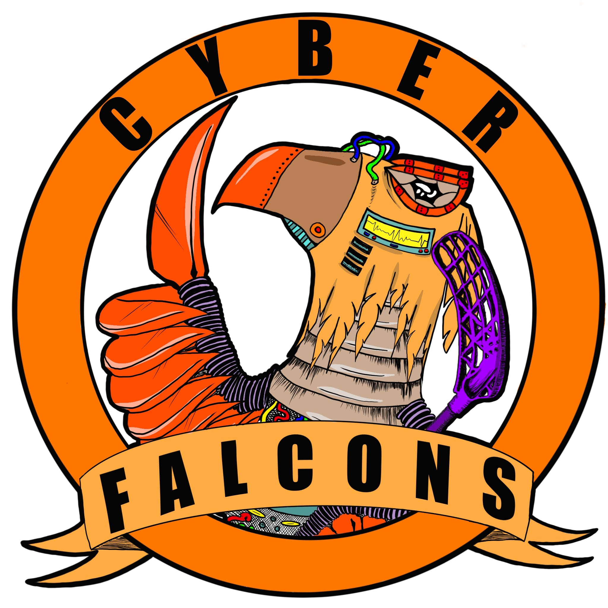 Cyber Falcons