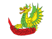 STV Giswil Dragons III